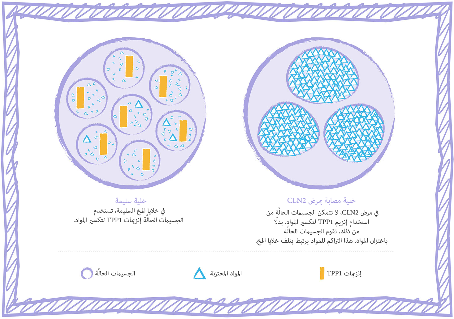 الرسم التوضيحي للخلية في حالة اضطراب الاختزان في الجسيمات الحالَّة في مرض CLN2