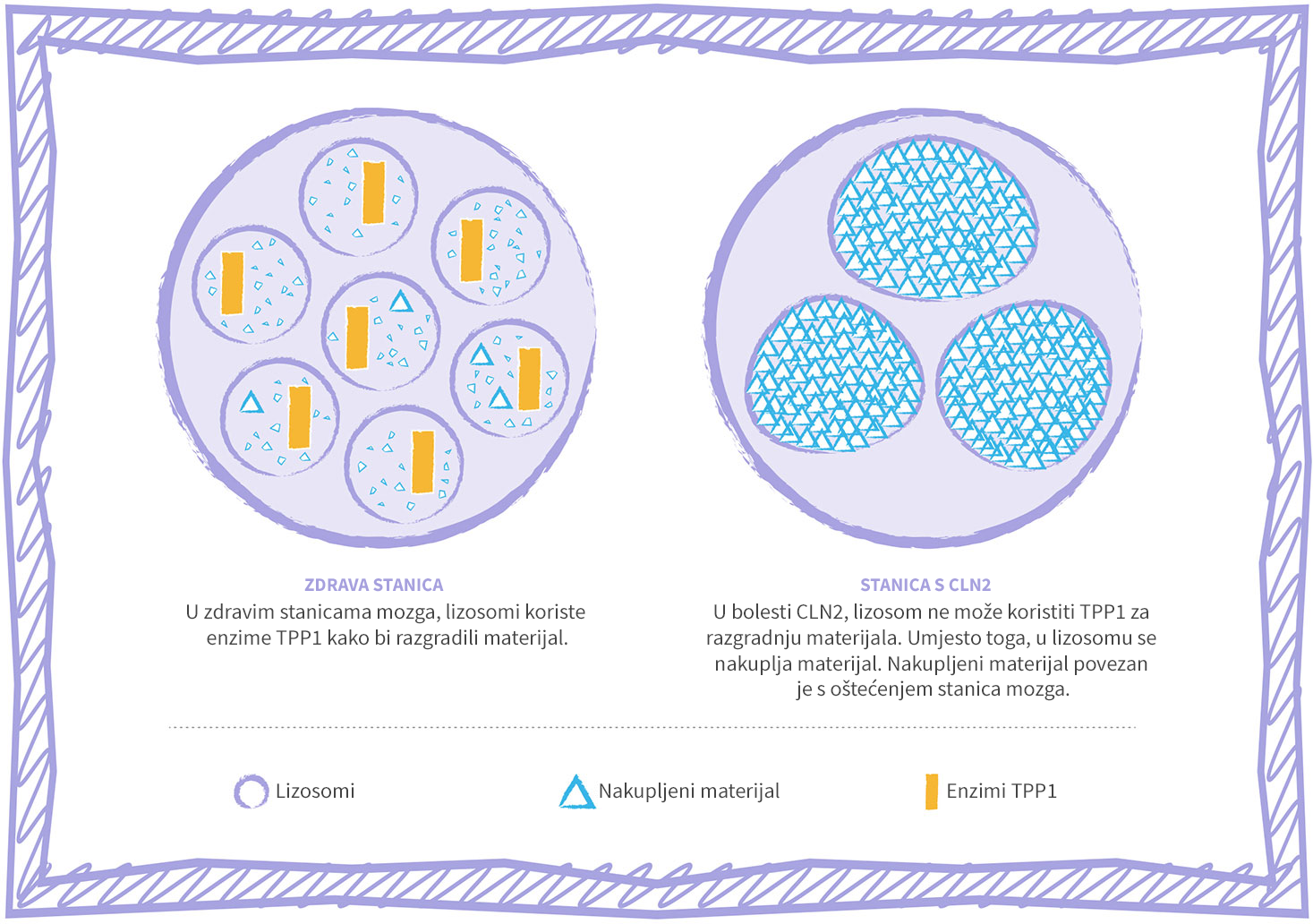 Grafički prikaz stanice kod lizosomske bolesti nakupljanja - CLN2